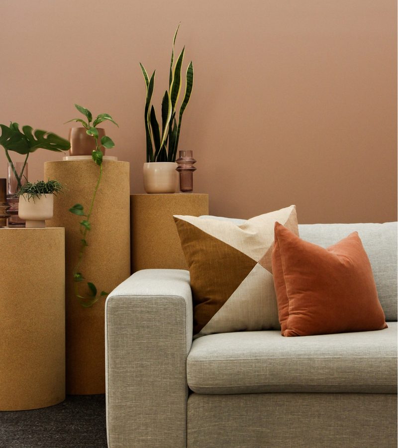 Bright living room with a sofa, cushions and plants